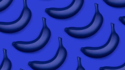 Globale Erwärmung: Werden unsere Bananen jetzt blau?