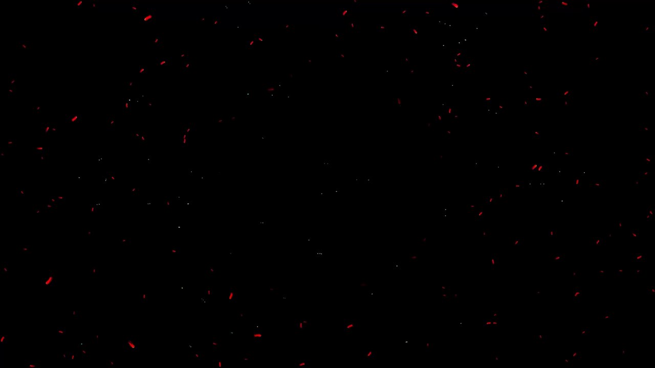 Impfdurchbruch: Sieben Deutsche infizieren sich trotz Booster-Impfung mit Omikron