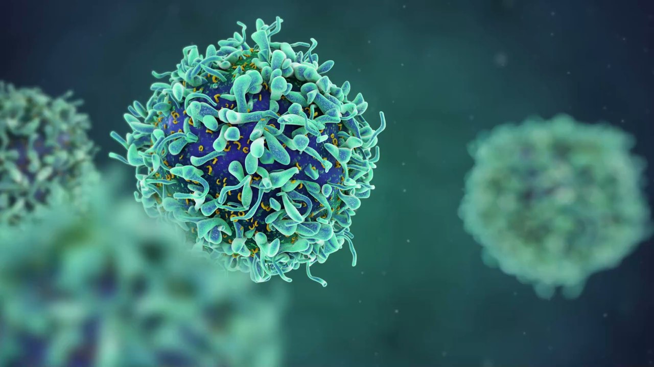 Neue Studie untersucht, weshalb einige Menschen nicht an COVID-19 erkranken