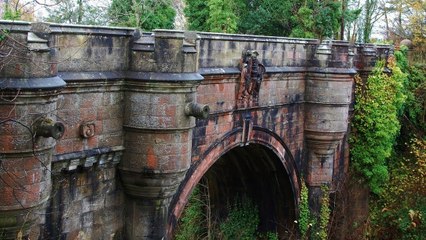 Des centaines de chiens ont déjà sauté de ce pont, et personne ne sait pourquoi