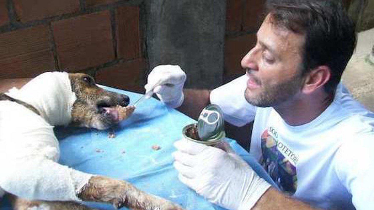 Un homme sauve de la mort un chien errant malade
