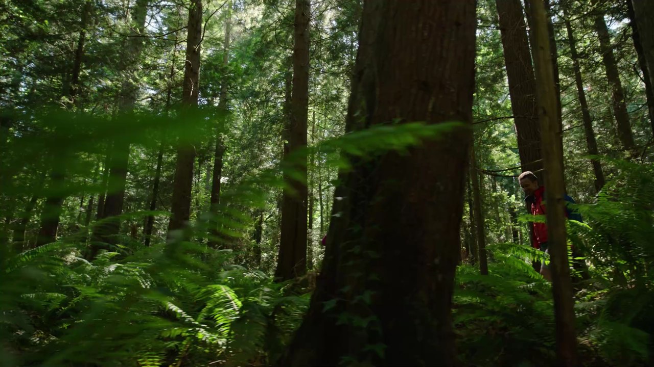 10.000-Schritte-Theorie widerlegt: Forschende raten zu anderer Zahl, um fit zu bleiben