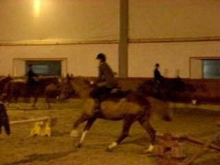cso saut d'obstacle avec liza