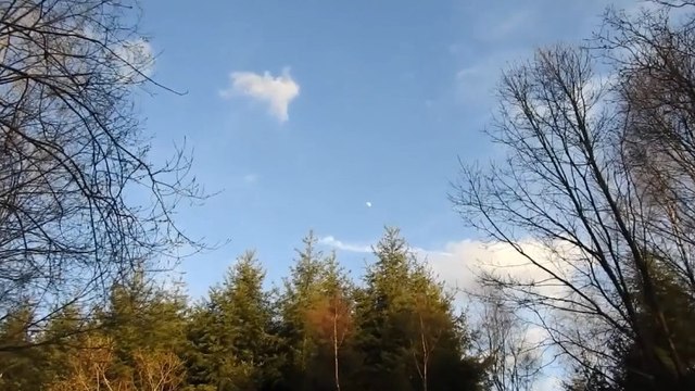 Le zoom de cet appareil photo va vous faire halluciner