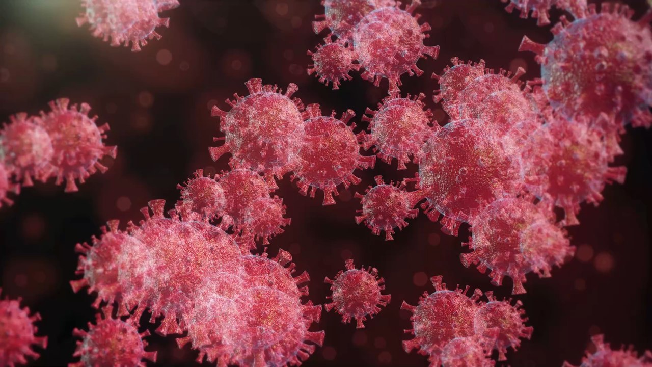 Britische Forschende schlagen Alarm: Omikron-Verläufe nicht milder als bei Delta