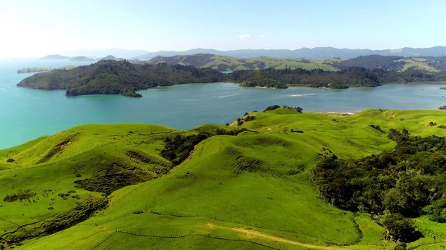 Neuseeland verbietet das Rauchen: Neues Gesetz soll das Land rauchfrei machen