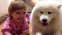 Ce chien et cette petite fille vont devenir les meilleurs amis