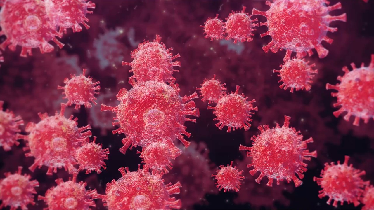 BA.2 'unter Beobachtung': Beunruhigendes Virusverhalten in Dänemark entdeckt