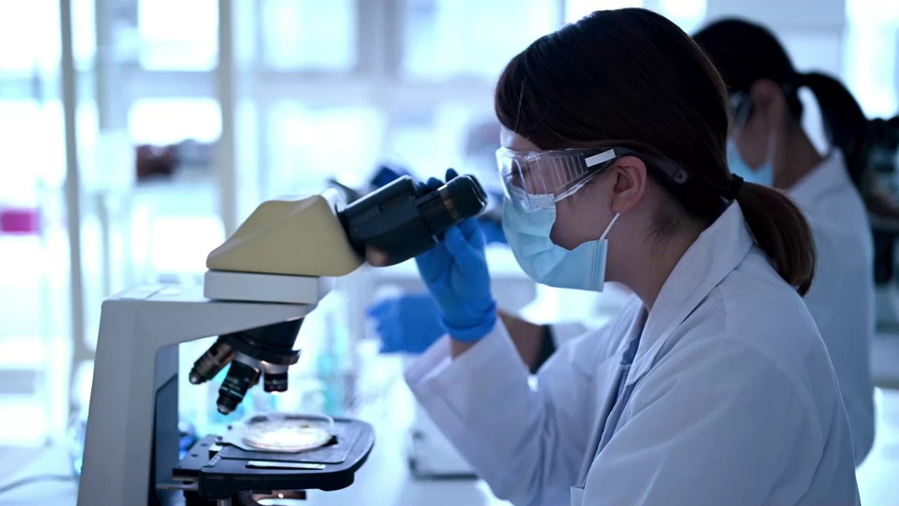 Forschende schaffen die ersten lebenden Roboter, die sich selbst vermehren können