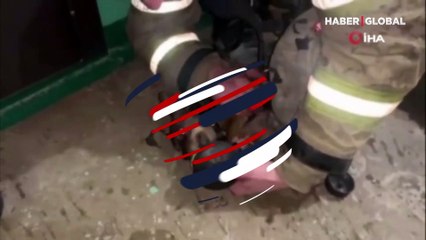 Alevlerin arasında kalan köpek oksijen maskesiyle hayata döndürüldü!