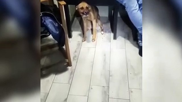 ext-denuncia-oij-030222