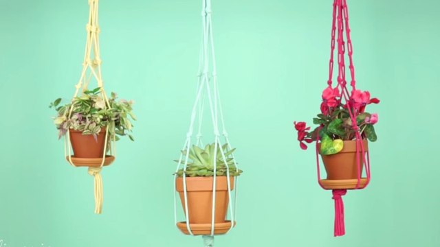 Cette façon d'accrocher vos plantes est très originale. Tout le monde va vous demander d'en faire