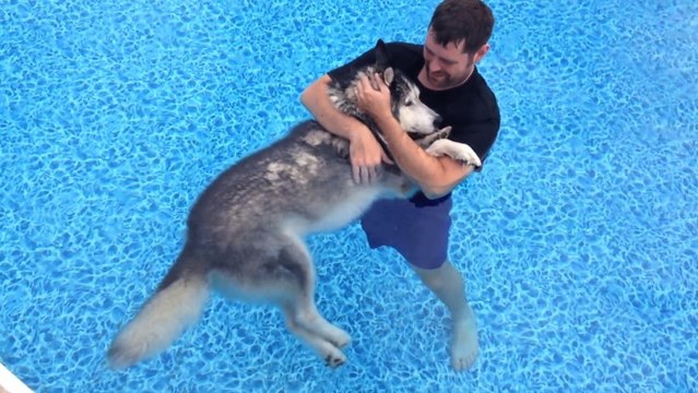 Il met son vieux chien dans une piscine pour soulager ses douleurs