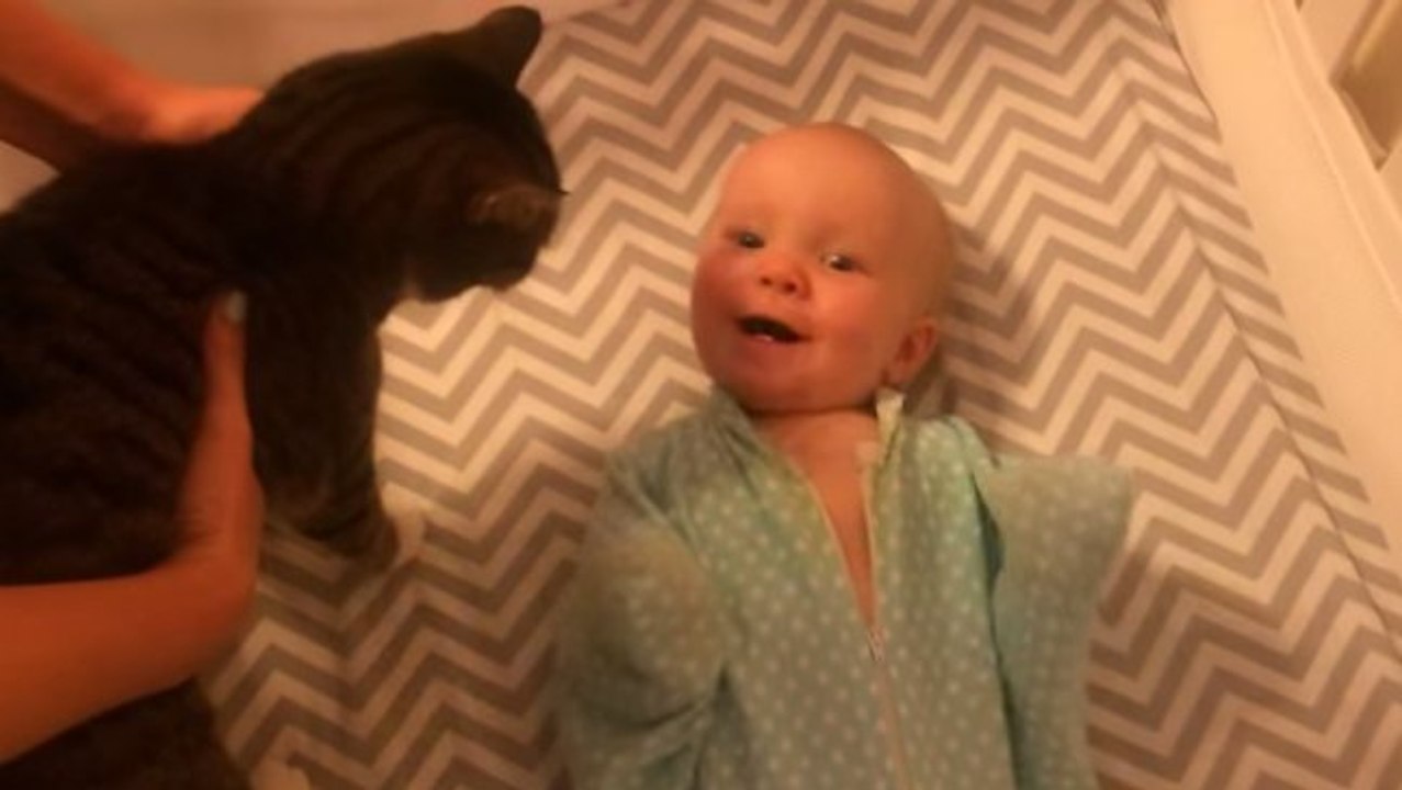 Un bébé éclate de rire quand il voit son chat