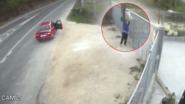 La vidéo d'un chien abandonné indigne les internautes