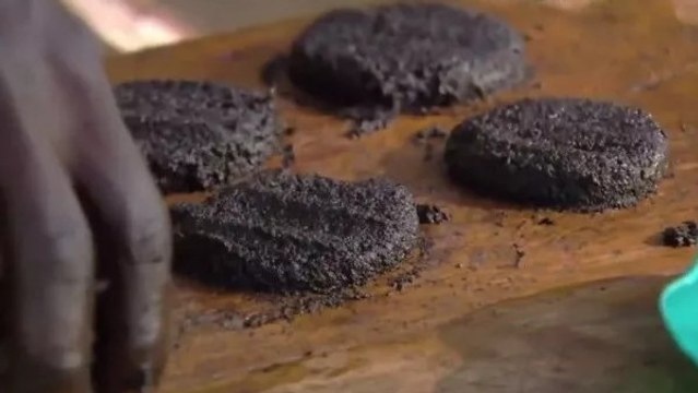 Faits à partir de moucherons, ces steaks sont aussi nutritifs que de la viande