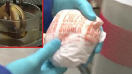 Voici ce qui arrive à cheeseburger quand on le plonge dans de l'acide chlorhydrique