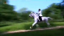 Kim Jong-un à cheval : l'improbable vidéo de propagande