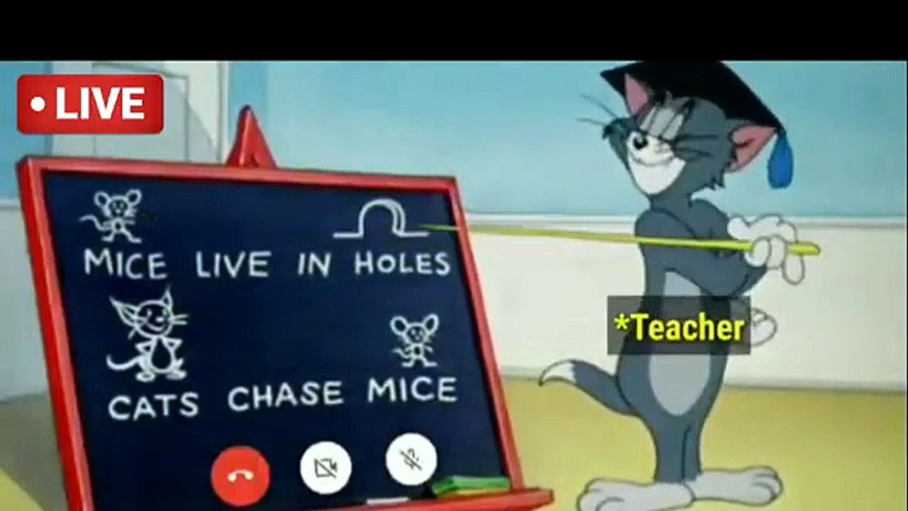 OnlineClassesFunnyTomJerryStatusVideo1431675293