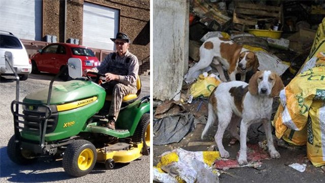 Cet homme a fabriqué un petit train pour promener des chiens abandonnés
