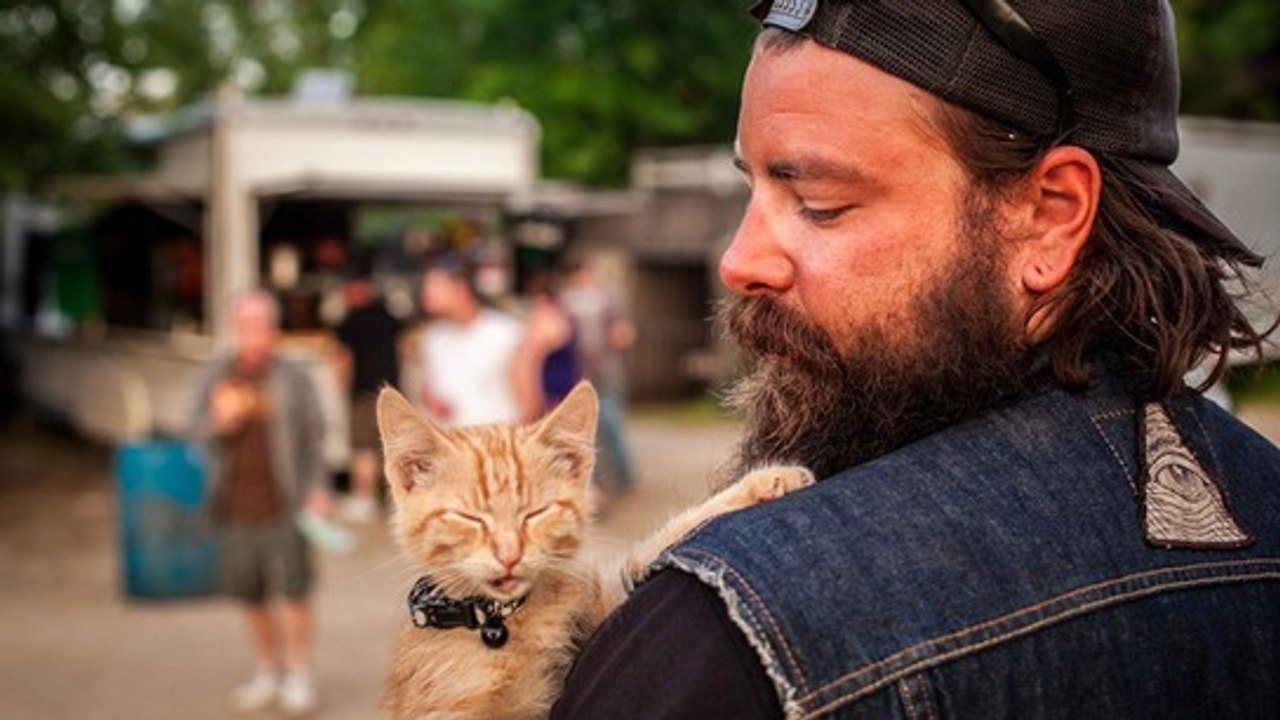 Ce biker a sauvé et adopté un chaton qui avait été abandonné