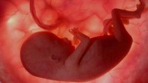 Un fœtus retrouvé dans le ventre de ce petit garçon de 4 ans !