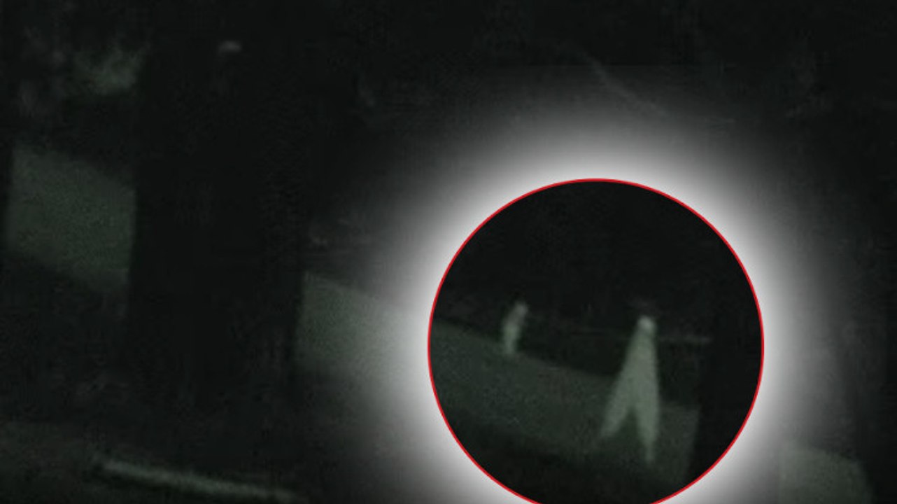 Ils installent une caméra et filment deux créatures étranges en pleine nuit