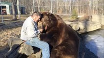 Orphelin, voici comment cet ours remercie l'homme qui lui a sauvé la vie il y a 21 ans