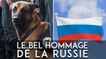 Hommage à Diesel : la Russie offre un petit chien à la France