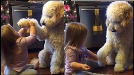 Une fillette apprend à son chien à donner la patte le jour de Noël