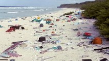 Île Henderson : isolée et perdue dans la Pacifique, c'est l'endroit le plus pollué au monde