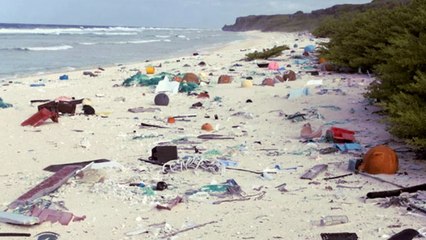 Île Henderson : isolée et perdue dans la Pacifique, c'est l'endroit le plus pollué au monde