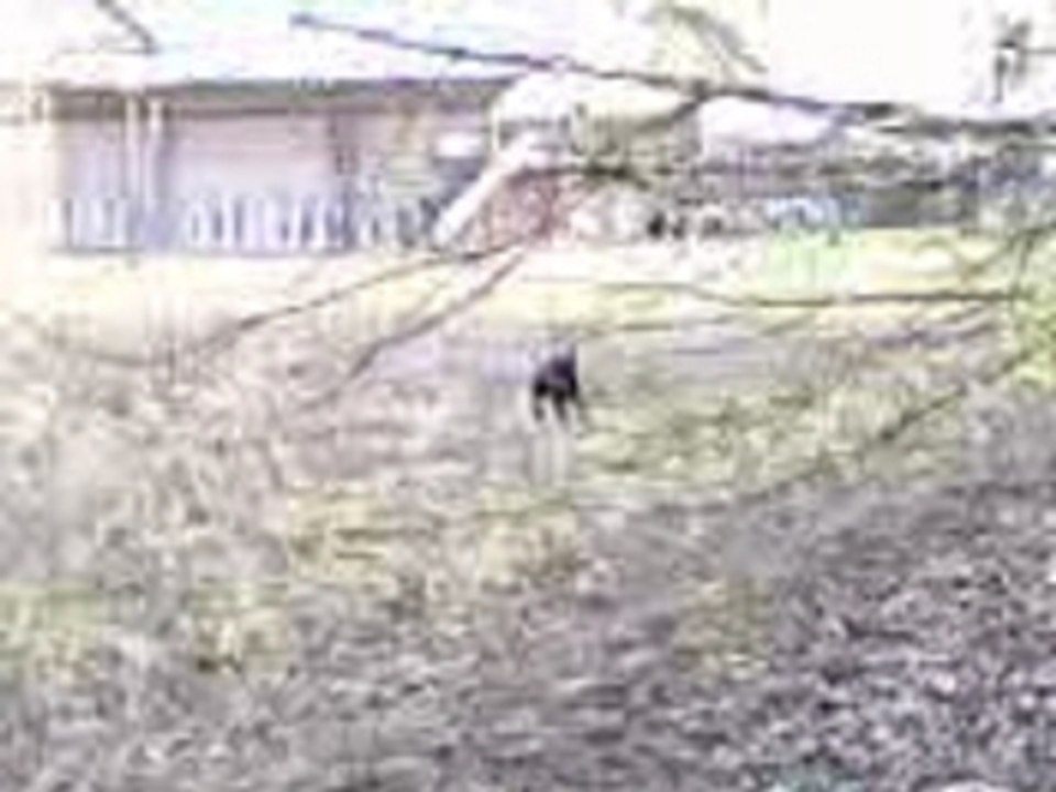 Video0117