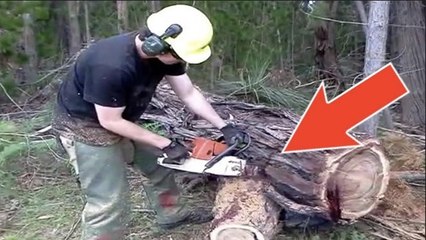 En coupant cet arbre, un bûcheron découvre quelque chose d'incroyable