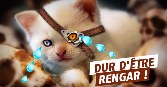 League of Legends : les derniers nerfs ont fini de creuser la tombe de Rengar