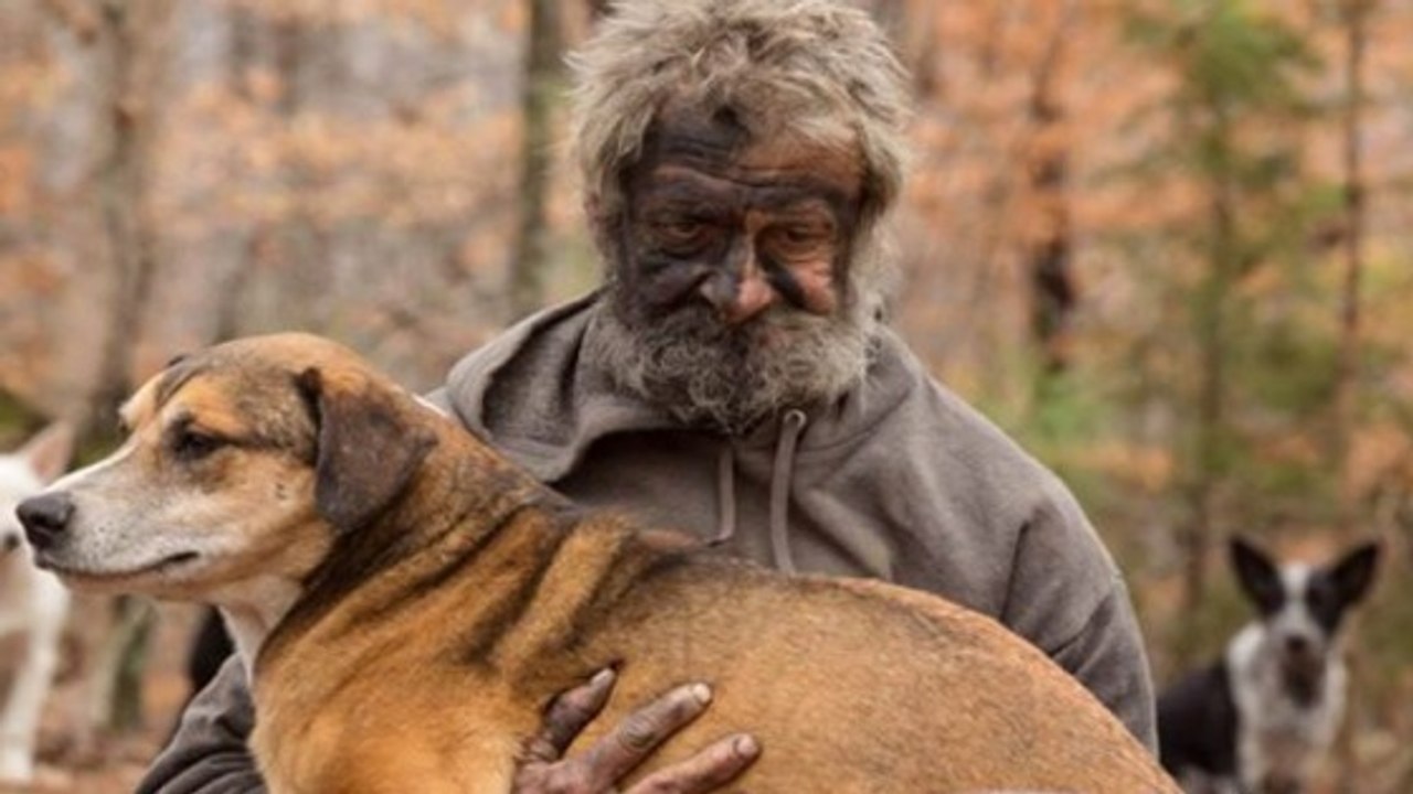 Un homme des bois sauve 31 chiens avant d'accepter de l'aide pour lui-même