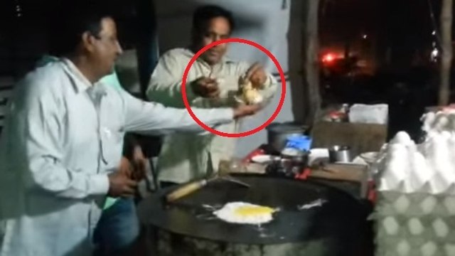 Des cuisiniers trouvent des poussins vivants en voulant faire une omelette