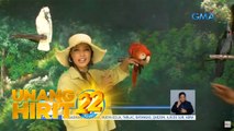 Unang Hirit: Iba’t ibang flower fields sa Luzon, Visayas at Mindanao!