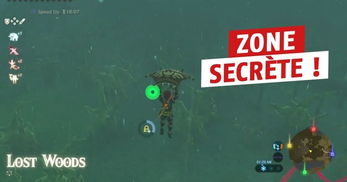 Zelda Breath of the Wild : une technique pour arriver rapidement aux bois perdus
