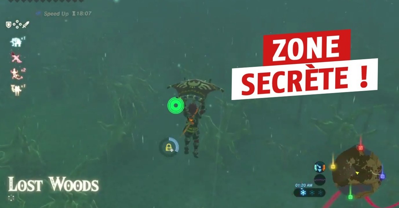 Zelda Breath of the Wild : une technique pour arriver rapidement aux bois perdus
