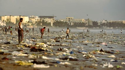 Plage de Versova (Inde) : la plage la plus polluée du monde devient un vrai coin de paradis