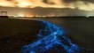 Le secret de plage bioluminescente aux Maldives