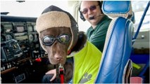 Grande Bretagne : des chiens apprennent à piloter un avion dans une émission télé