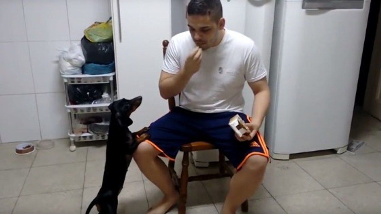 Il a une astuce infaillible pour faire avaler un médicament à son chien