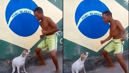Quand ce garçon danse une samba, ce chien a une réaction magique !