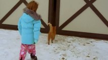 Cette petite fille a suivi son chat dans la grange, mais elle ne s'attendait à ça en ouvrant la porte