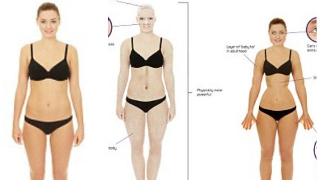 Les scientifiques dévoilent les trois possibles évolutions de l'être humain dans le futur