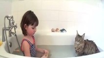 Une amitié incroyable lie une petite fille autiste et son chat
