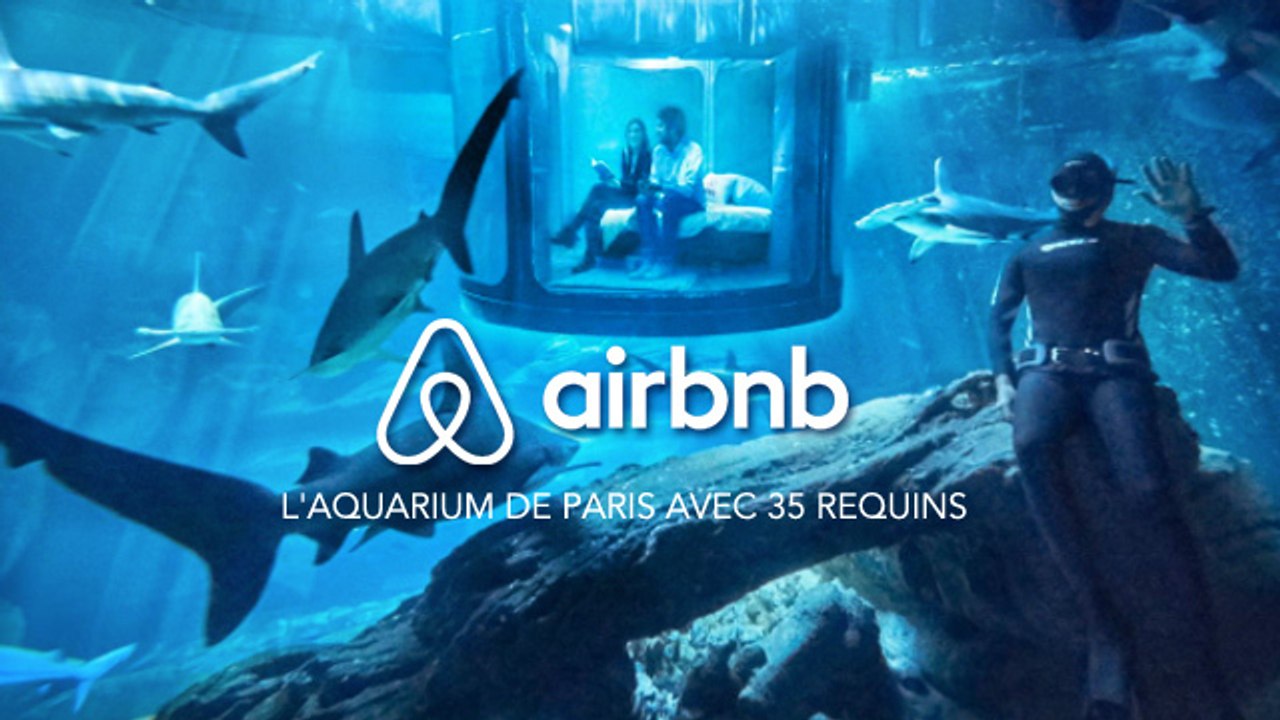 Dormir au milieu des requins ? Airbnb propose de passer la nuit dans l'aquarium de Paris