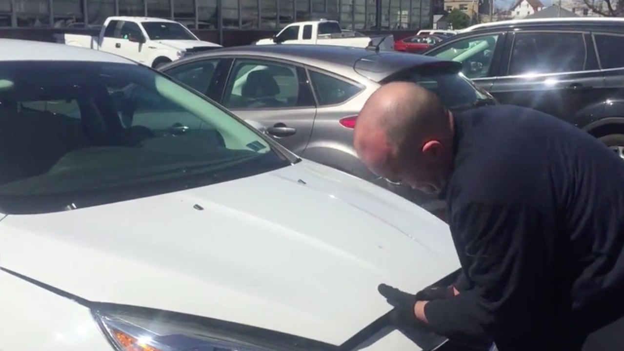 Il entendait du bruit sous le capot de sa voiture. Grosse surprise quand il l'a ouvert !